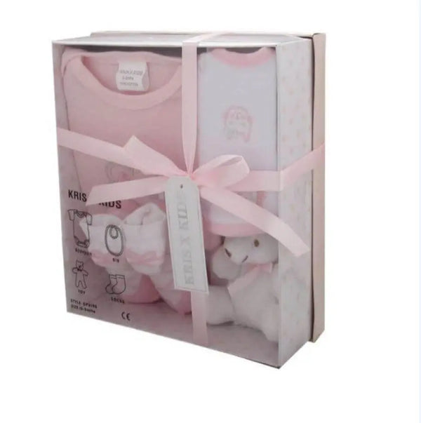 Pink 4 Piece Luxury Boxed Gift Set (0-3 Months)