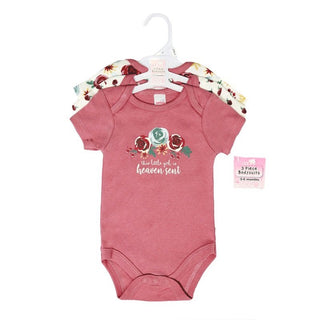 Girls 3 Pack Bodysuits (NB-9 Months) 